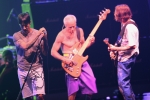 Red Hot Chili Peppers - Hollywood, FL
