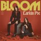 Larkin Poe : Bloom